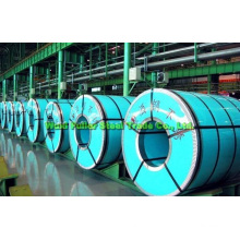 Cold Rolling Hot Rolling Stainless Steel Coil/Sheet 316L